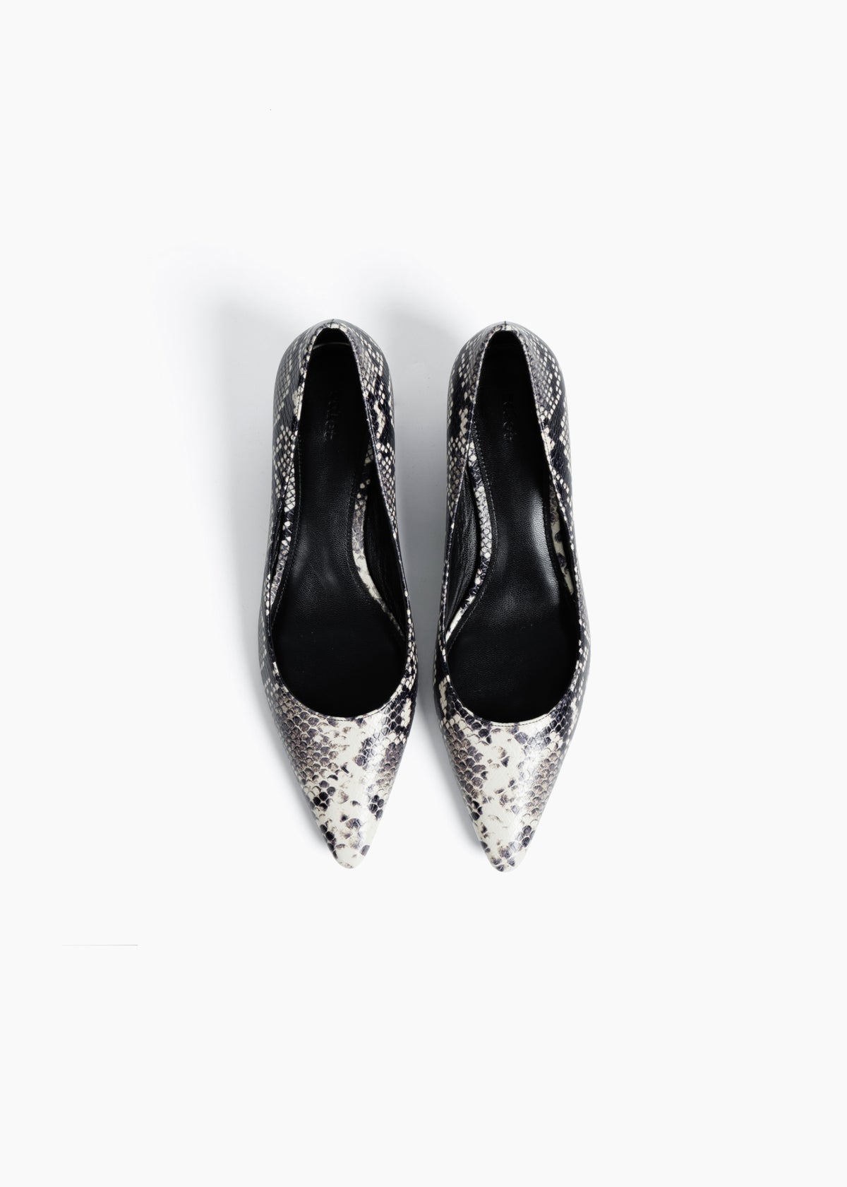 The Nerrine in python-effect
