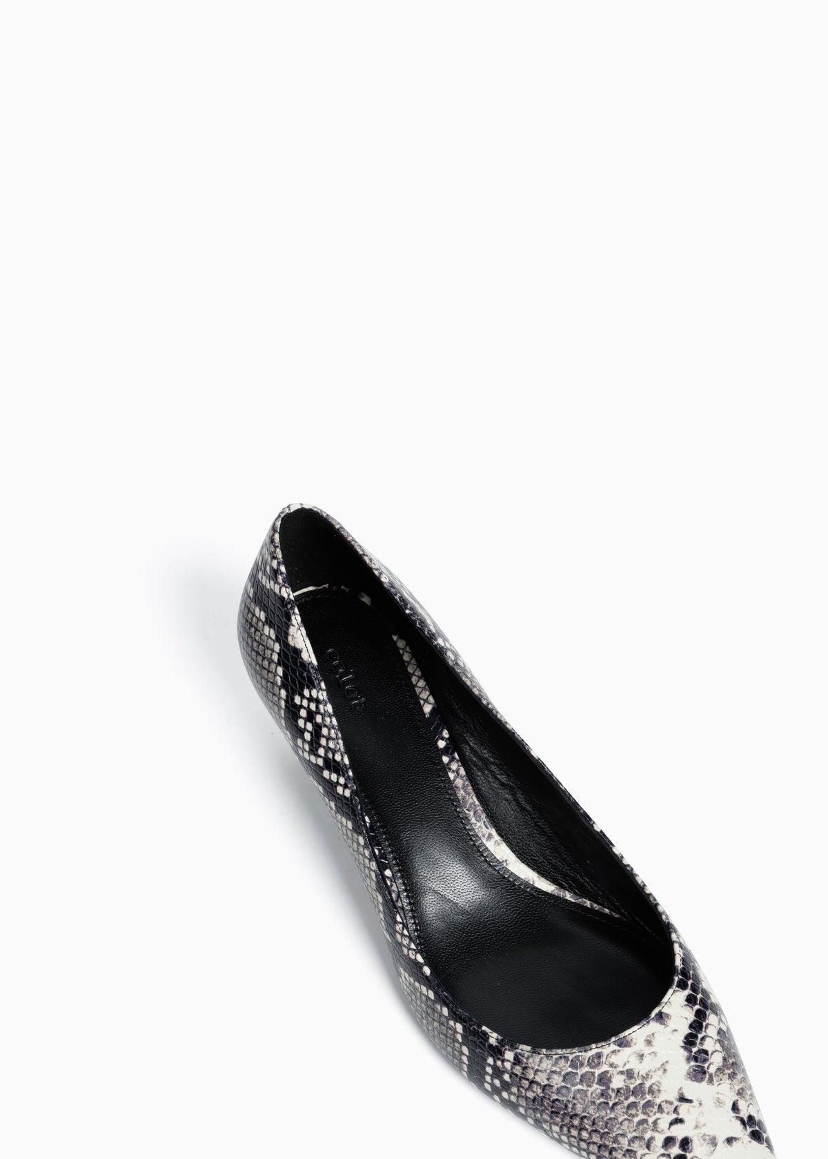The Nerrine in python-effect